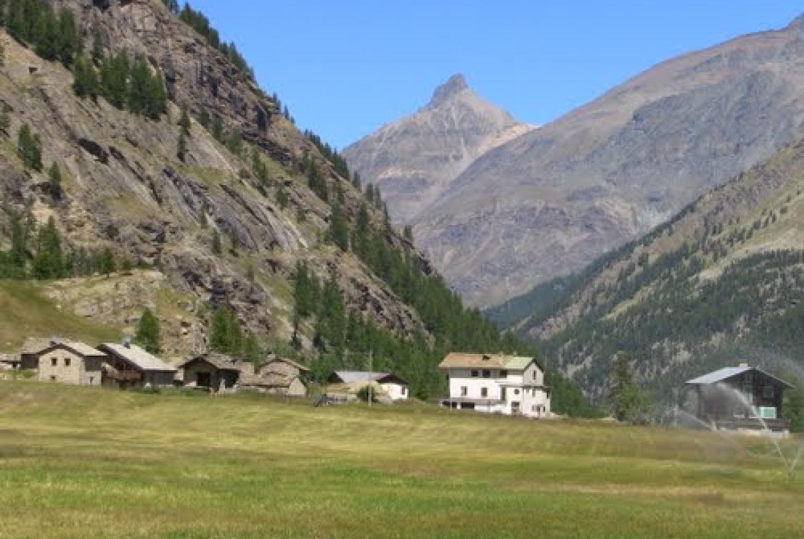 Fiha di Civet - Fête du chamois en "civet"