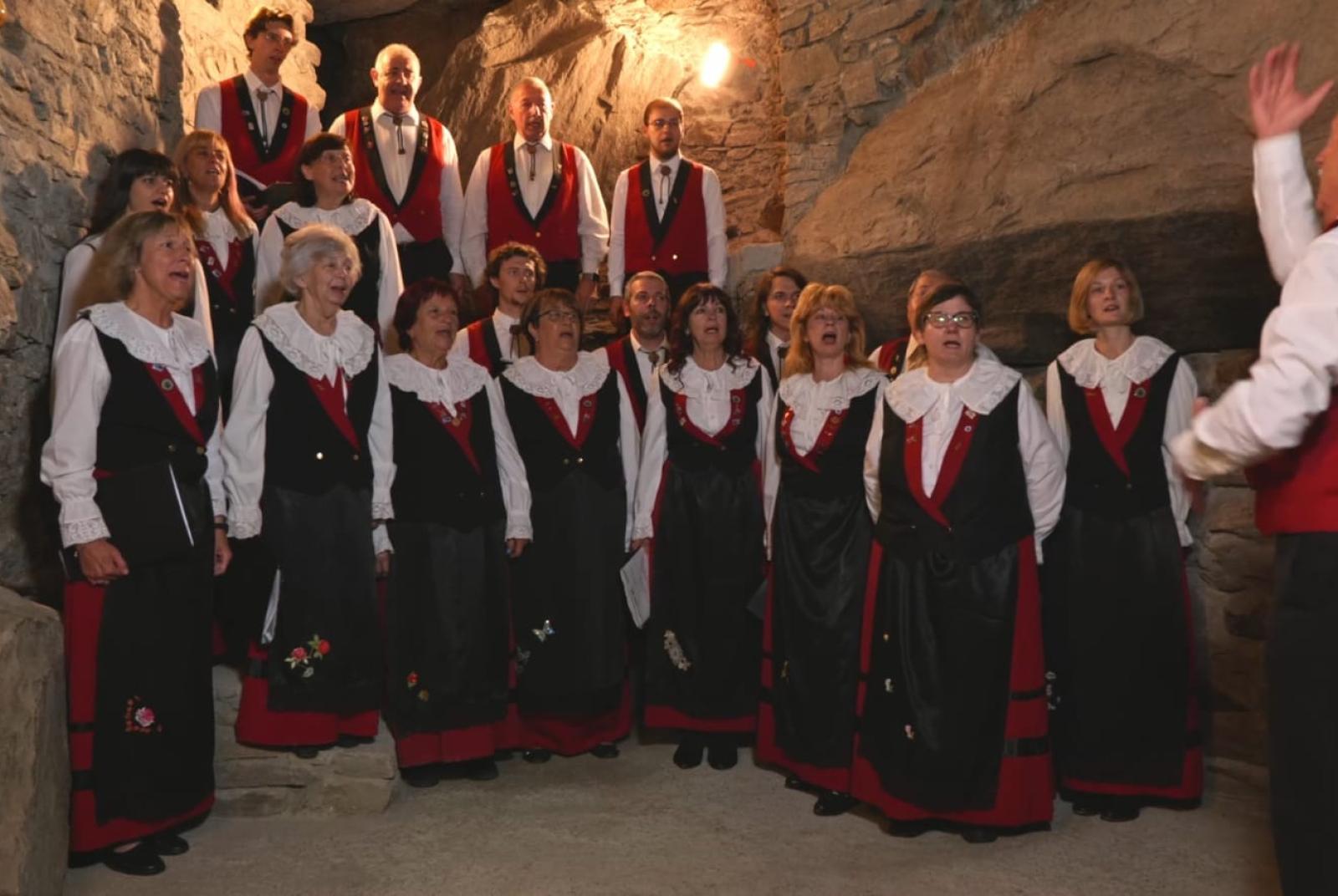 Concerto della corale di Châtel Argent  Concert de la chorale de Châtel Argent