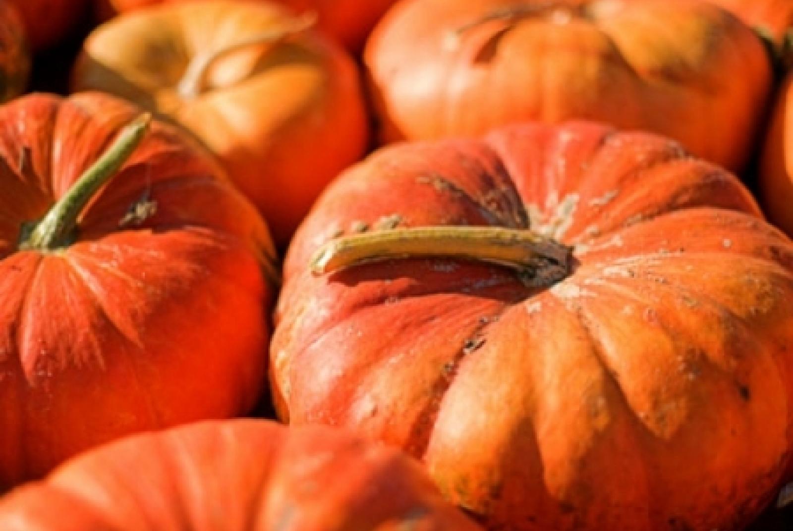 Verrès è...la zucca, dall'orto alla tavola