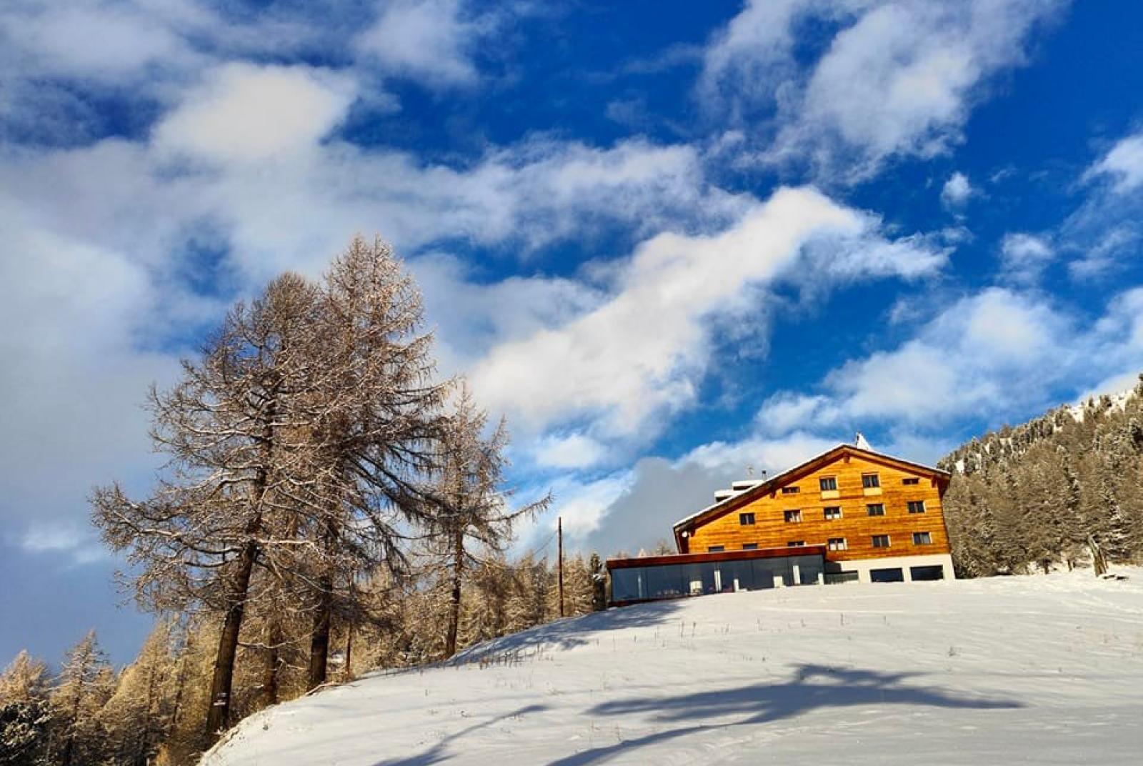 Hotel Crest Alpine Lodge & SPA