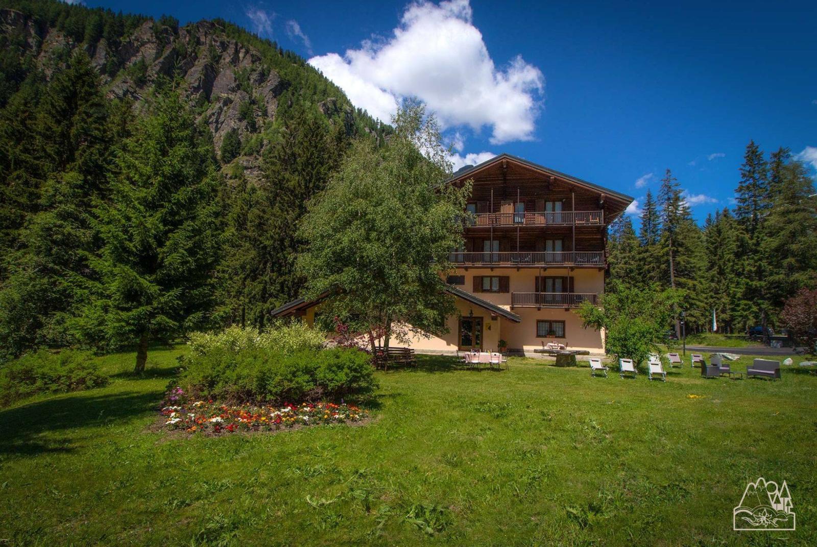 Alpine Forest Hotel