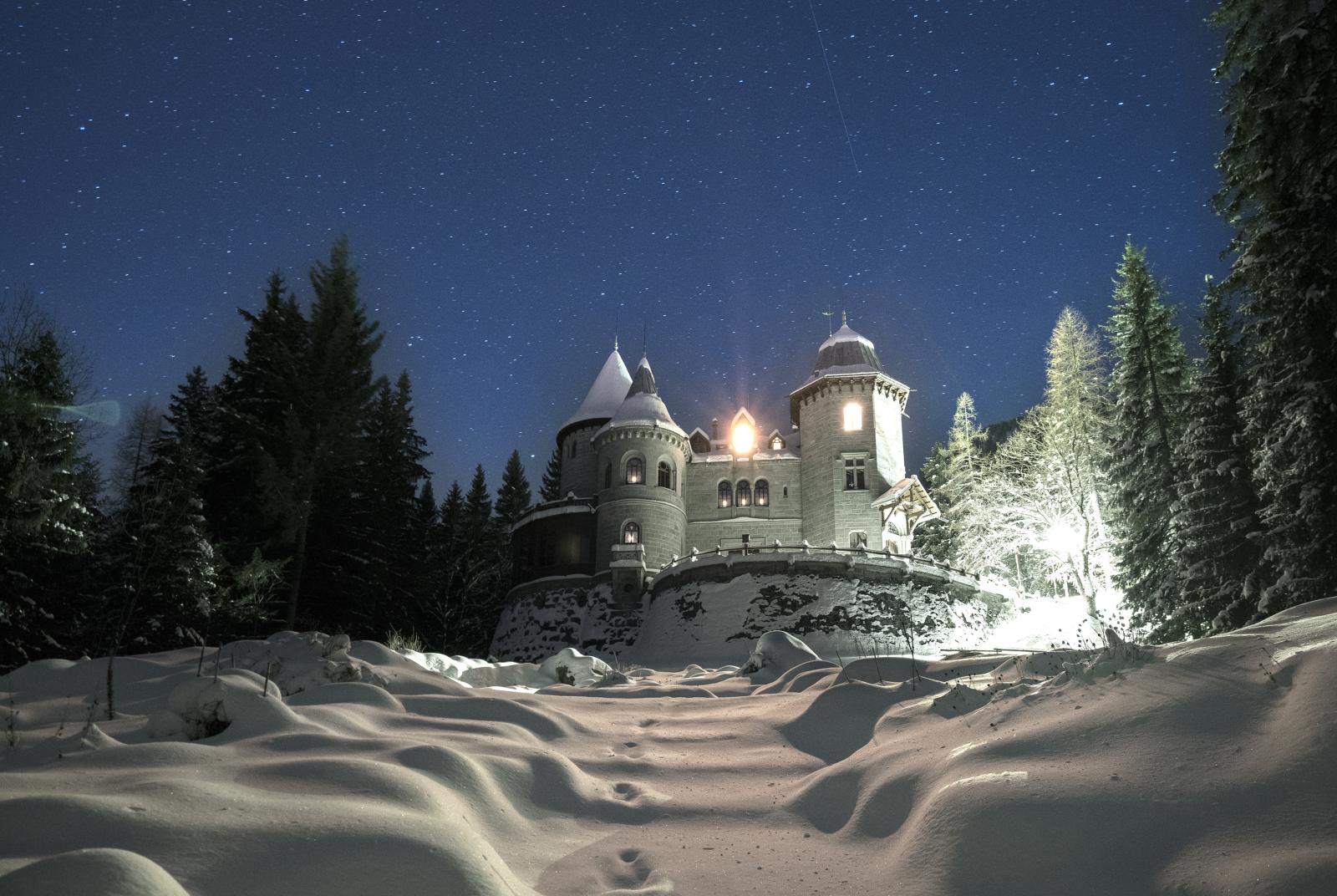 Château de Savoie