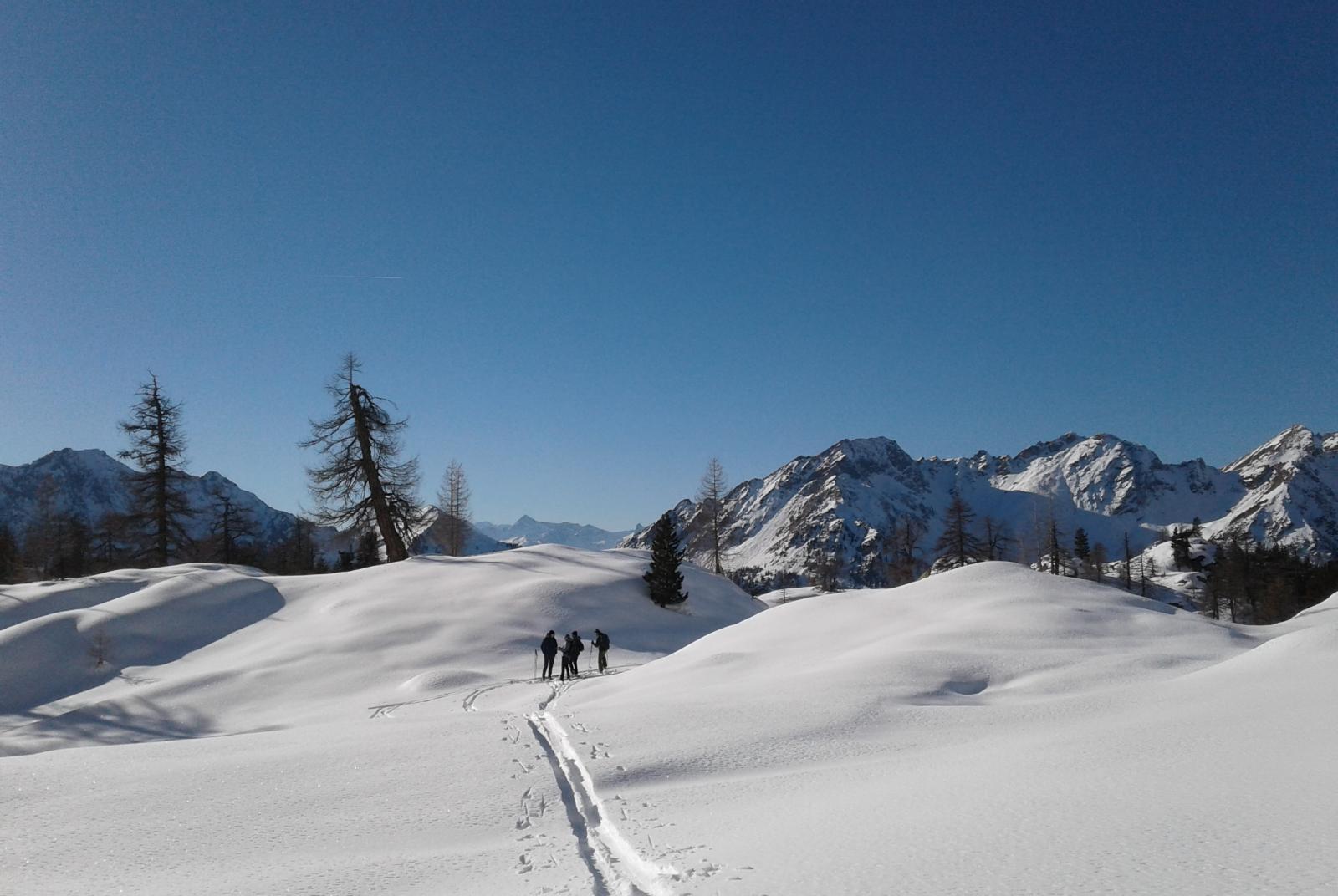 ONE DAY SKI TOURING WITH THE GRESSONEY GUIDE COMPANY