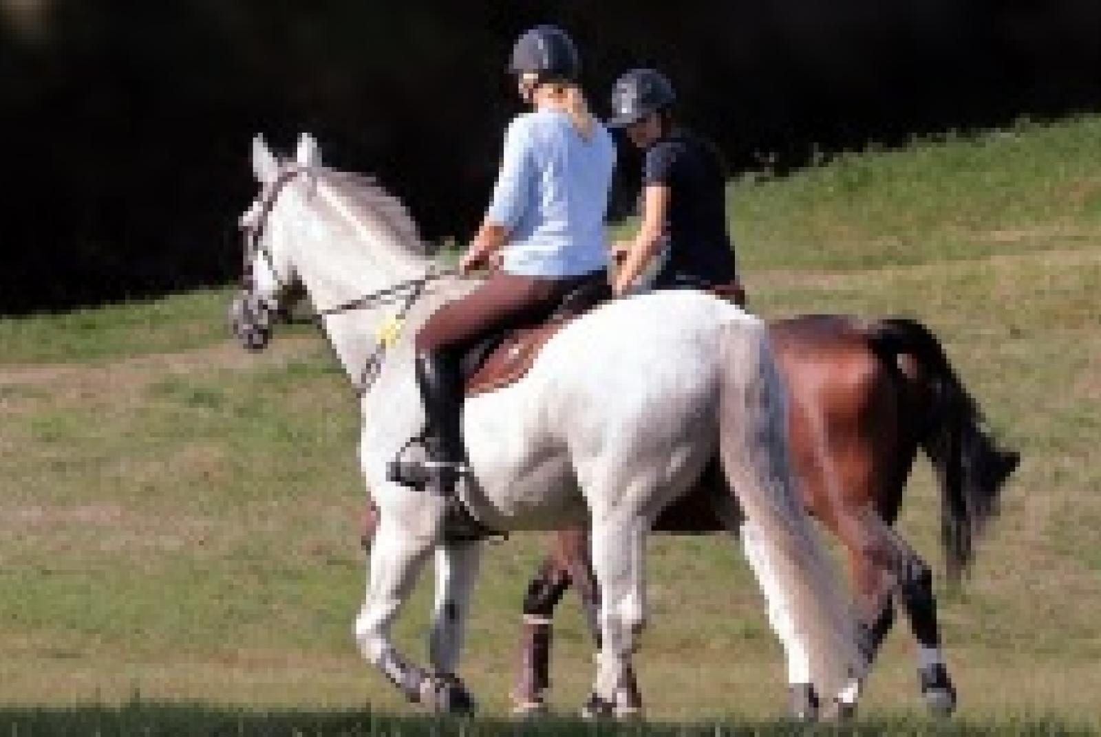 Équitation